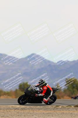 media/Mar-13-2022-SoCal Trackdays (Sun) [[112cf61d7e]]/Speed Shots/